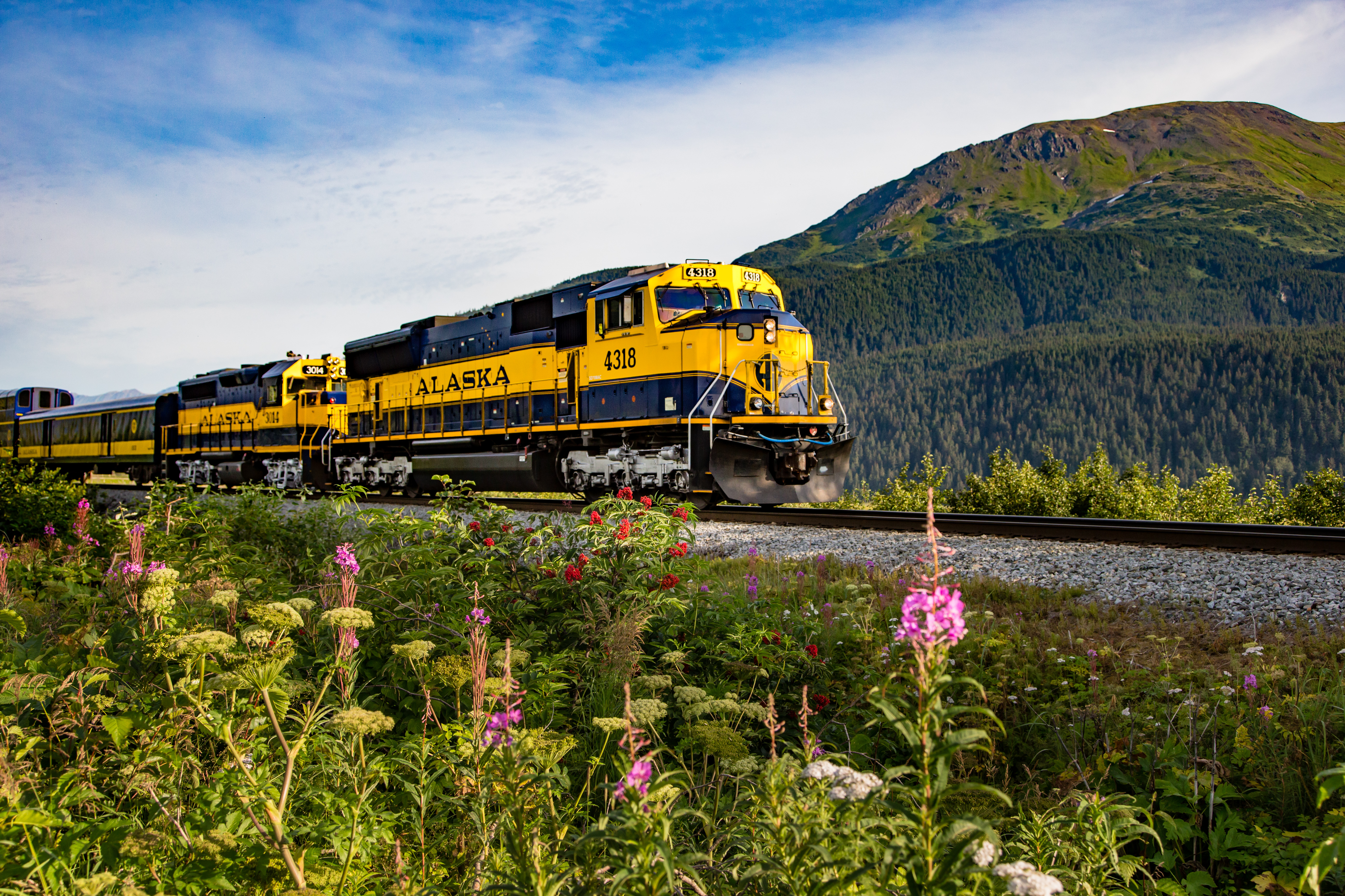 Scenic Rail Journey to Denali National Park