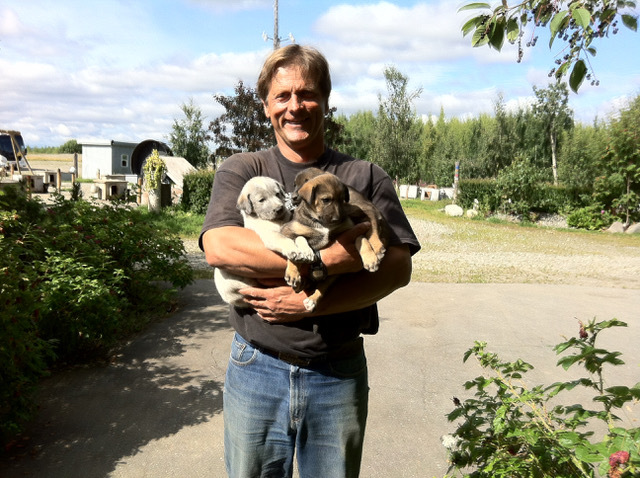 Martin Buser holding sled puppies during the Best of Alaska guided tour